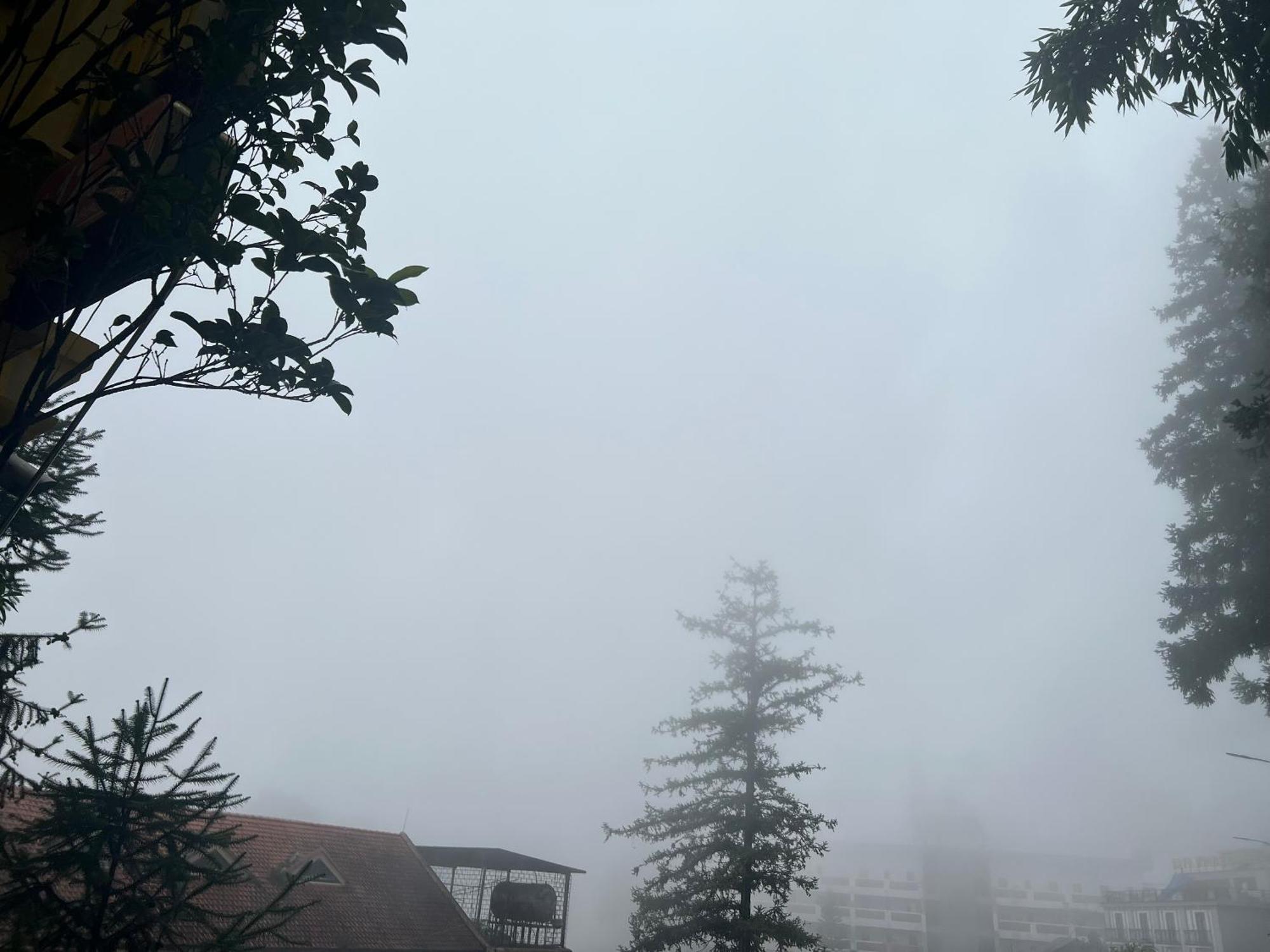Sapa Elite Hotel Exteriér fotografie